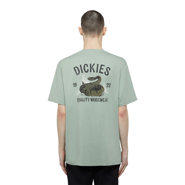 Dickies T-Shirt serpent
