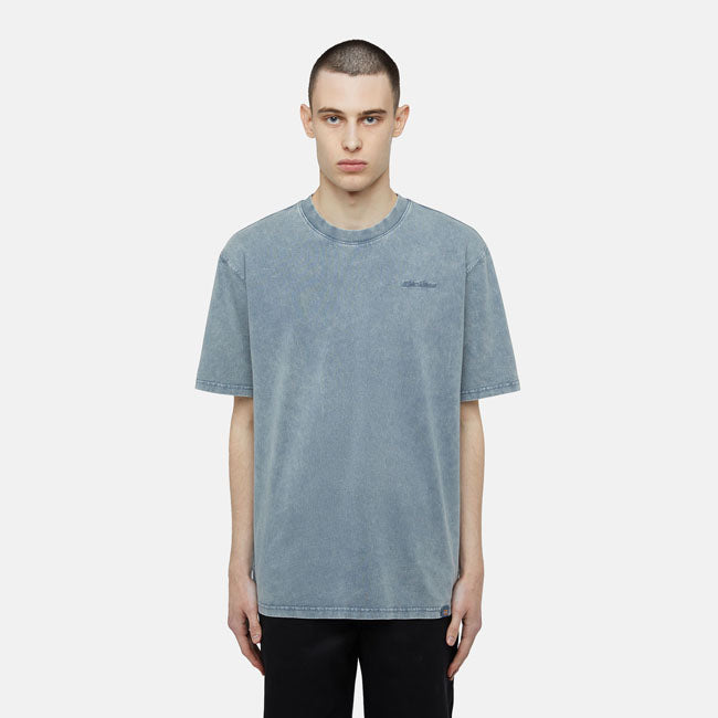 Dickies T-Shirt Plentywood