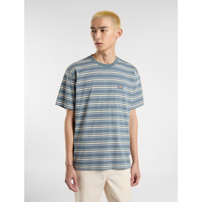 Dickies T-shirt à rayures Lewistown