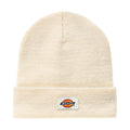 Dickies Bonnet Gibsland