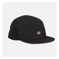 Dickies Casquette Glendive