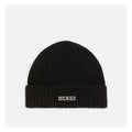 Dickies Bonnet Harlowtown