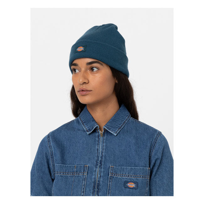 Dickies Gibsland Beanie