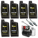 Vspec Service Kit Complete for Harley 1984-1999 Evolution Big Twin / Chrome