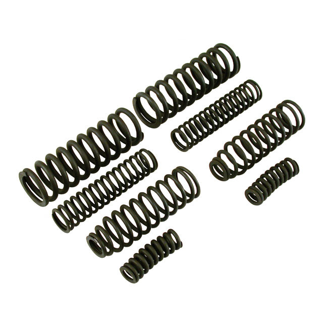 SAMWEL Springer reservdelar Parkerized Springer Replacement Spring Set (8). Parkerized / Svart / Krom. BT 36-45; WLC 42-43 Customhoj